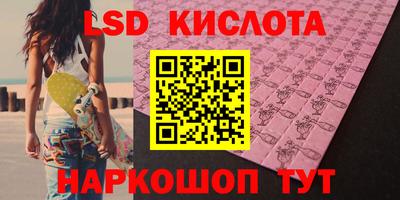 прущие грибы Ирбит