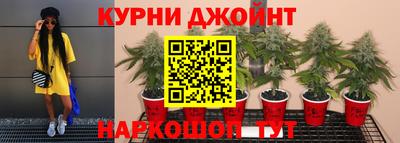 прущие грибы Ирбит