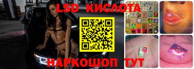 гидра Камышлов
